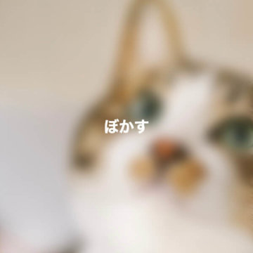 Css 背景画像を暗くしたり別の画像を重ねたりぼかしたり Misoblog